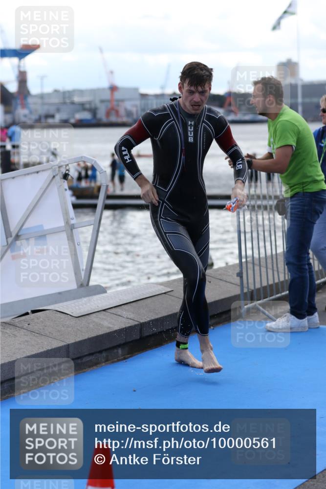 16.08.2026 - KN Förde Triathlon 2026 Antke Förster http://msf.ph/oto/10000561 16.08.2026 14:48:52 Schwimmen 2, 3, 11, 13, 15, 3, 12, 14 meine-sportfotos.de