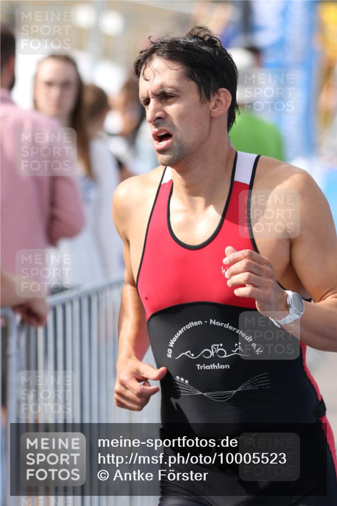 16.08.2026 - KN Förde Triathlon 2026 Antke Förster http://msf.ph/oto/10005523 16.08.2026 15:59:55 Laufen  meine-sportfotos.de
