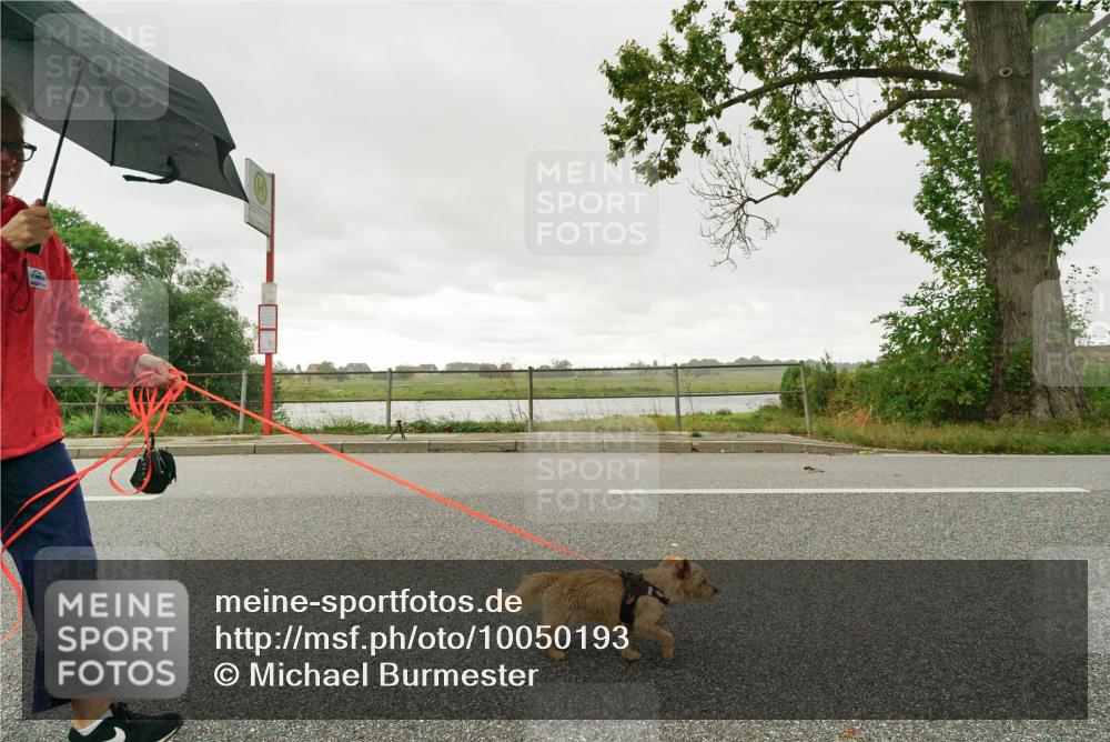 30.08.2026 - Elbe Triathlon Hamburg Michael Burmester http://msf.ph/oto/10050193 30.08.2026 15:41:52 Radfahren  meine-sportfotos.de