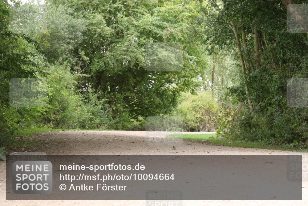 30.08.2026 - Elbe Triathlon Hamburg Antke Förster http://msf.ph/oto/10094664 30.08.2026 09:39:40 Laufen  meine-sportfotos.de