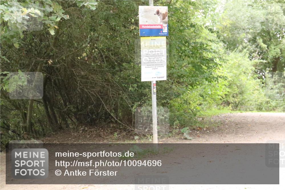 30.08.2026 - Elbe Triathlon Hamburg Antke Förster http://msf.ph/oto/10094696 30.08.2026 09:42:10 Laufen 09, 00, 17, 00, 30, 2026 meine-sportfotos.de
