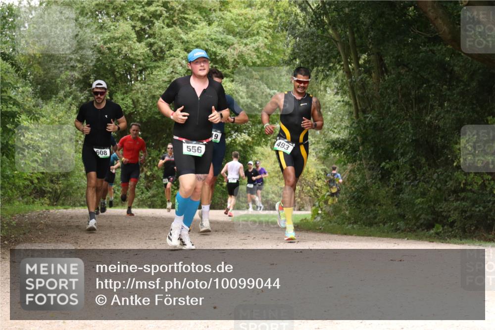 30.08.2026 - Elbe Triathlon Hamburg Antke Förster http://msf.ph/oto/10099044 30.08.2026 10:53:16 Laufen 556, 608, 493 meine-sportfotos.de