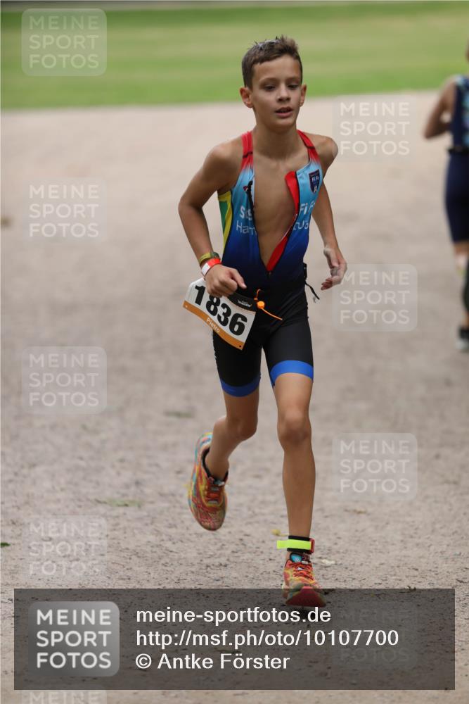 30.08.2026 - Elbe Triathlon Hamburg Antke Förster http://msf.ph/oto/10107700 30.08.2026 12:52:08 Laufen 1836 meine-sportfotos.de