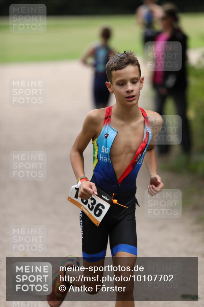 30.08.2026 - Elbe Triathlon Hamburg Antke Förster http://msf.ph/oto/10107702 30.08.2026 12:52:08 Laufen 1536 meine-sportfotos.de