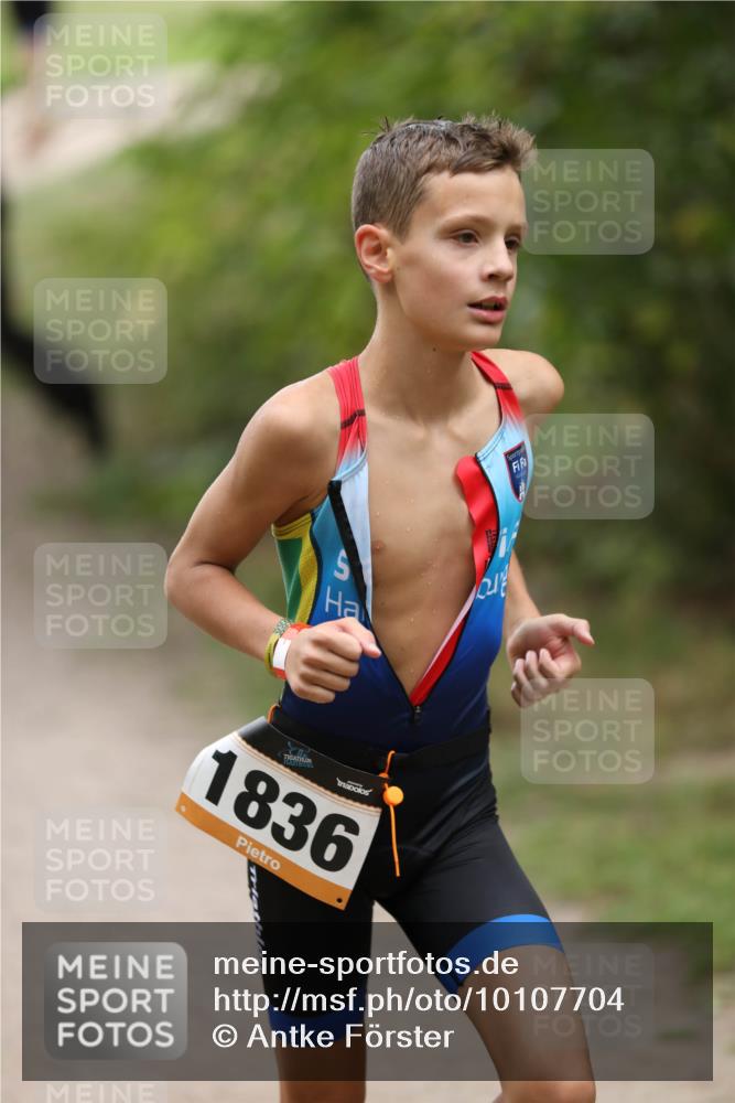 30.08.2026 - Elbe Triathlon Hamburg Antke Förster http://msf.ph/oto/10107704 30.08.2026 12:52:09 Laufen 1836 meine-sportfotos.de