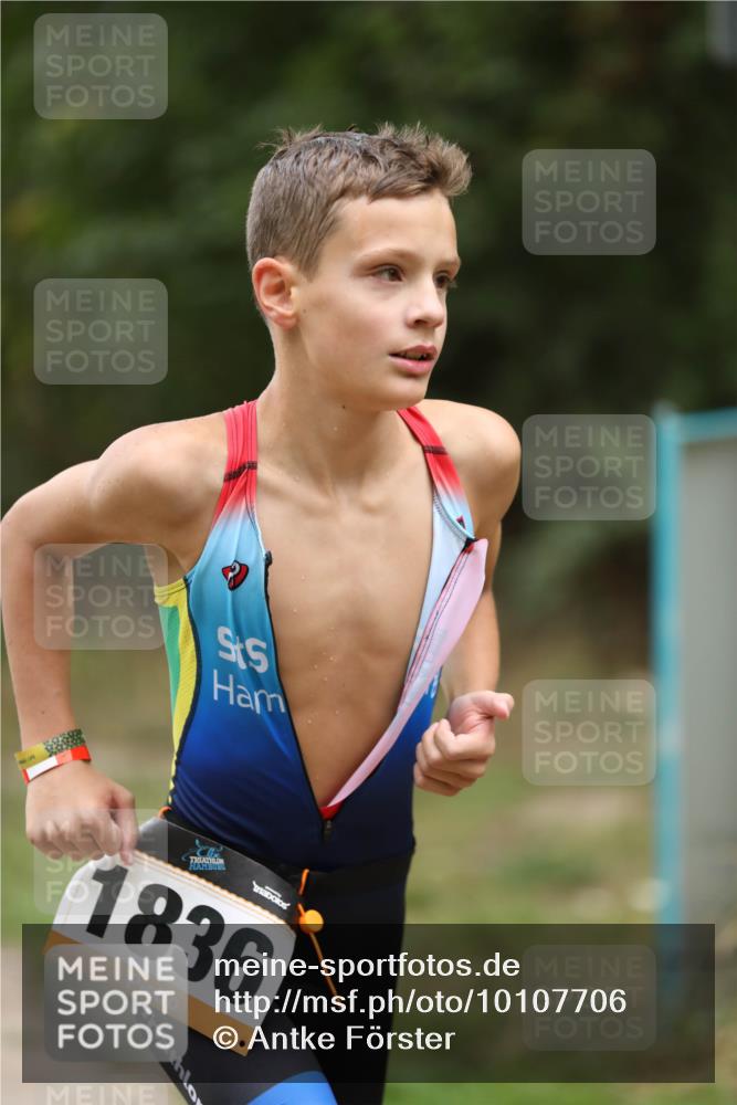 30.08.2026 - Elbe Triathlon Hamburg Antke Förster http://msf.ph/oto/10107706 30.08.2026 12:52:09 Laufen 1836 meine-sportfotos.de