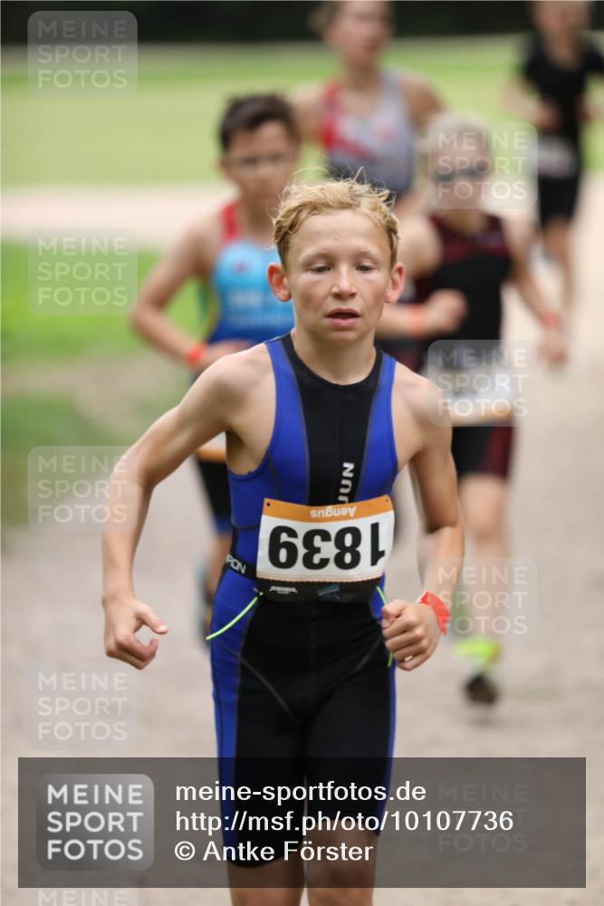 30.08.2026 - Elbe Triathlon Hamburg Antke Förster http://msf.ph/oto/10107736 30.08.2026 12:52:40 Laufen 1839 meine-sportfotos.de