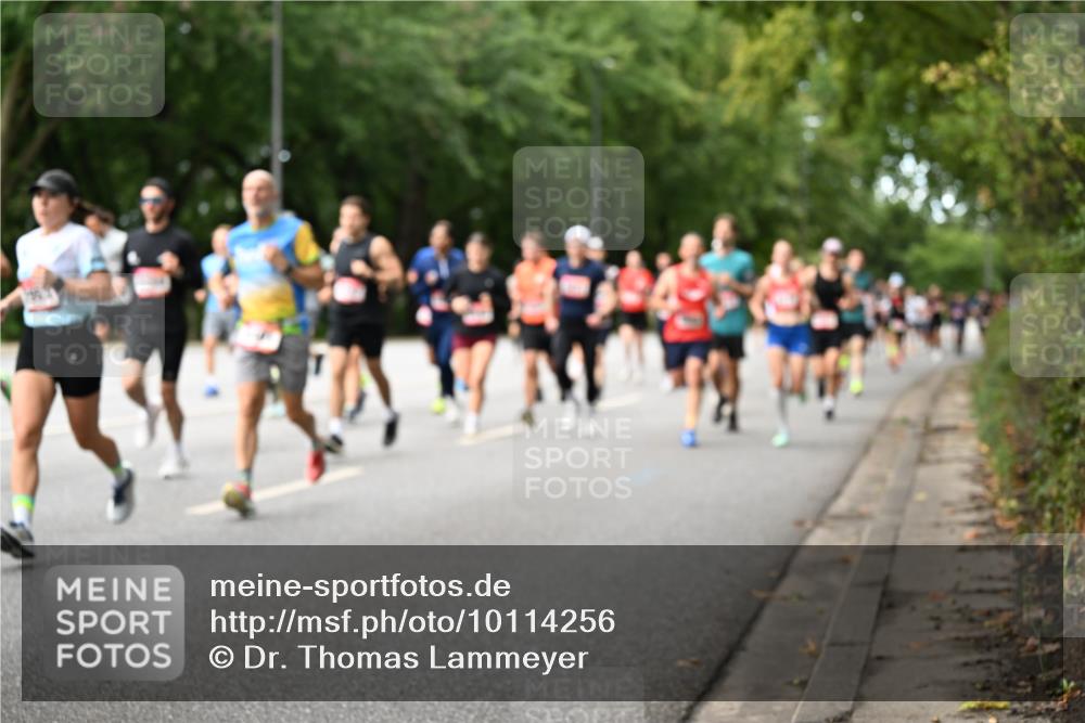 06.09.2026 - CURREX Alsterlauf Dr. Thomas Lammeyer http://msf.ph/oto/10114256 06.09.2026 09:07:12 Laufen  meine-sportfotos.de