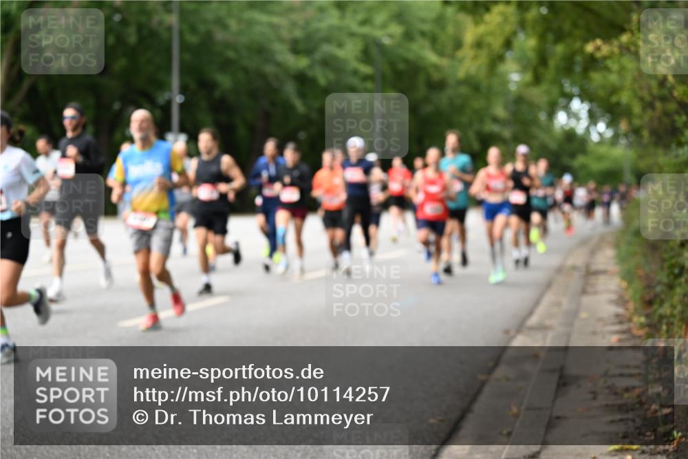 06.09.2026 - CURREX Alsterlauf Dr. Thomas Lammeyer http://msf.ph/oto/10114257 06.09.2026 09:07:13 Laufen  meine-sportfotos.de