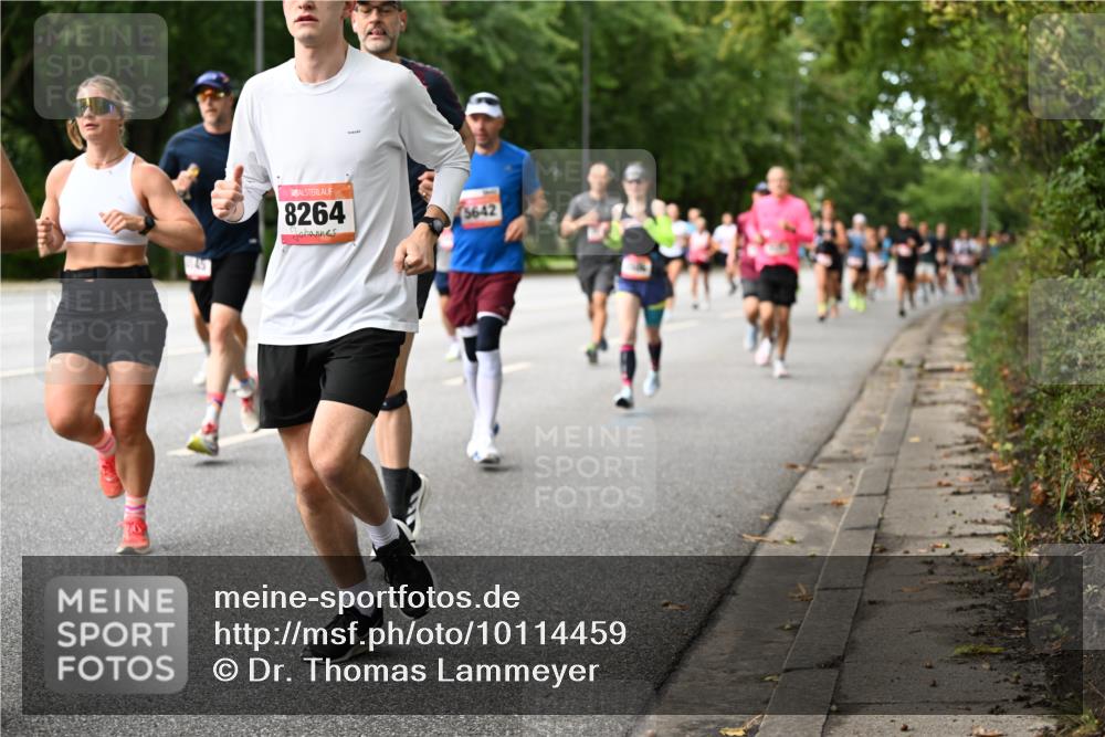 06.09.2026 - CURREX Alsterlauf Dr. Thomas Lammeyer http://msf.ph/oto/10114459 06.09.2026 09:07:45 Laufen 8264, 3642 meine-sportfotos.de