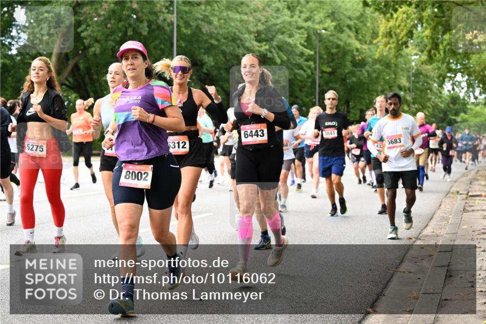 06.09.2026 - CURREX Alsterlauf Dr. Thomas Lammeyer http://msf.ph/oto/10116062 06.09.2026 09:12:11 Laufen 5275, 8002, 6443, 312, 3841, 5683 meine-sportfotos.de