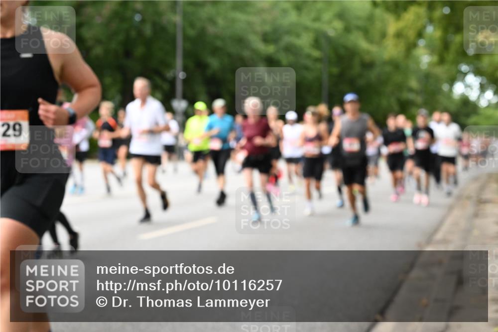 06.09.2026 - CURREX Alsterlauf Dr. Thomas Lammeyer http://msf.ph/oto/10116257 06.09.2026 09:12:37 Laufen 29 meine-sportfotos.de