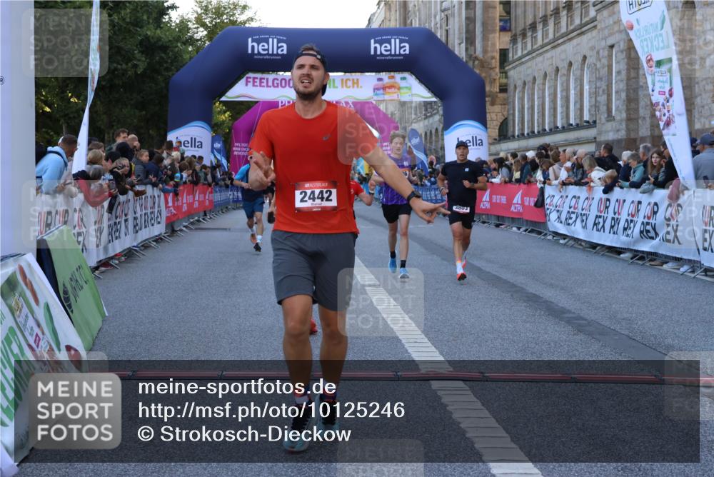 06.09.2026 - CURREX Alsterlauf Strokosch-Dieckow http://msf.ph/oto/10125246 06.09.2026 09:44:48 Ziel 2442, 2452, 2610, 3226, 3445, 3671, 3802, 3803, 4039, 5286, 6201, 8264 meine-sportfotos.de