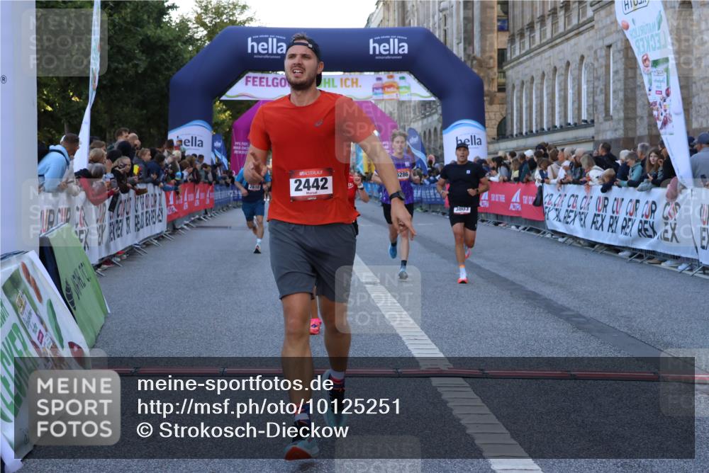 06.09.2026 - CURREX Alsterlauf Strokosch-Dieckow http://msf.ph/oto/10125251 06.09.2026 09:44:48 Ziel 2442, 2452, 2610, 3226, 3445, 3671, 3802, 3803, 4039, 5286, 6201, 8264 meine-sportfotos.de