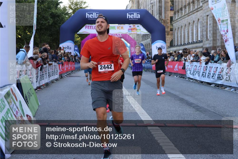 06.09.2026 - CURREX Alsterlauf Strokosch-Dieckow http://msf.ph/oto/10125261 06.09.2026 09:44:48 Ziel 2442, 2452, 2610, 3226, 3445, 3671, 3802, 3803, 4039, 5286, 6201, 8264 meine-sportfotos.de