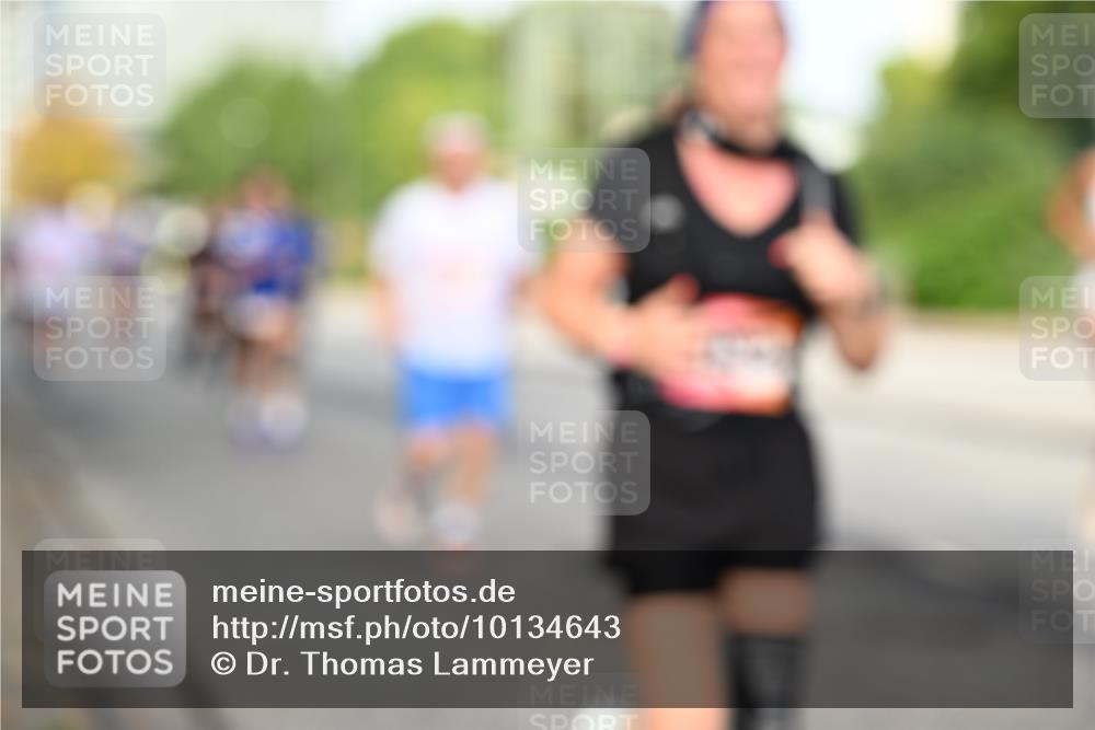 06.09.2026 - CURREX Alsterlauf Dr. Thomas Lammeyer http://msf.ph/oto/10134643 06.09.2026 10:00:05 Laufen  meine-sportfotos.de