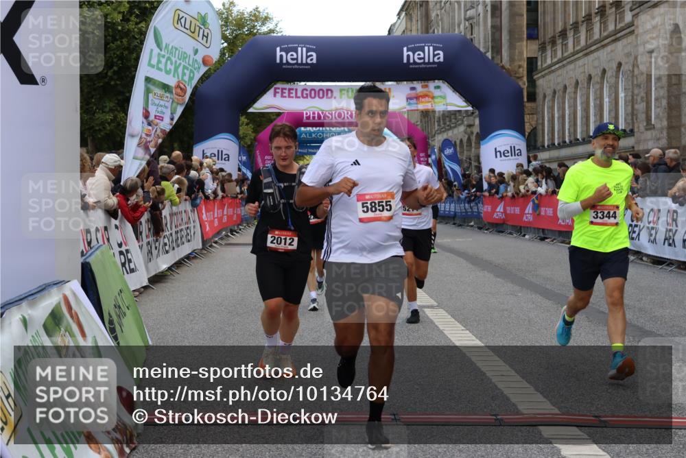 06.09.2026 - CURREX Alsterlauf Strokosch-Dieckow http://msf.ph/oto/10134764 06.09.2026 09:55:20 Ziel 2012, 2231, 2908, 3126, 3344, 3484, 4512, 4615, 4686, 5211, 5314, 5855, 6293 meine-sportfotos.de