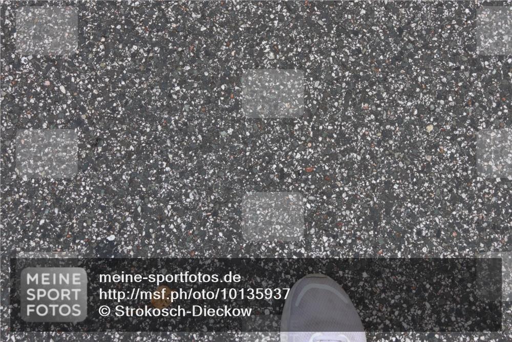 06.09.2026 - CURREX Alsterlauf Strokosch-Dieckow http://msf.ph/oto/10135937 06.09.2026 10:11:15 Ziel 2324, 2889, 2890, 2979, 2980, 4409, 4782, 4783, 5268, 5327, 5351, 5392, 5393, 5496, 5498, 5499, 5500, 5532, 5818, 6100, 6103 meine-sportfotos.de