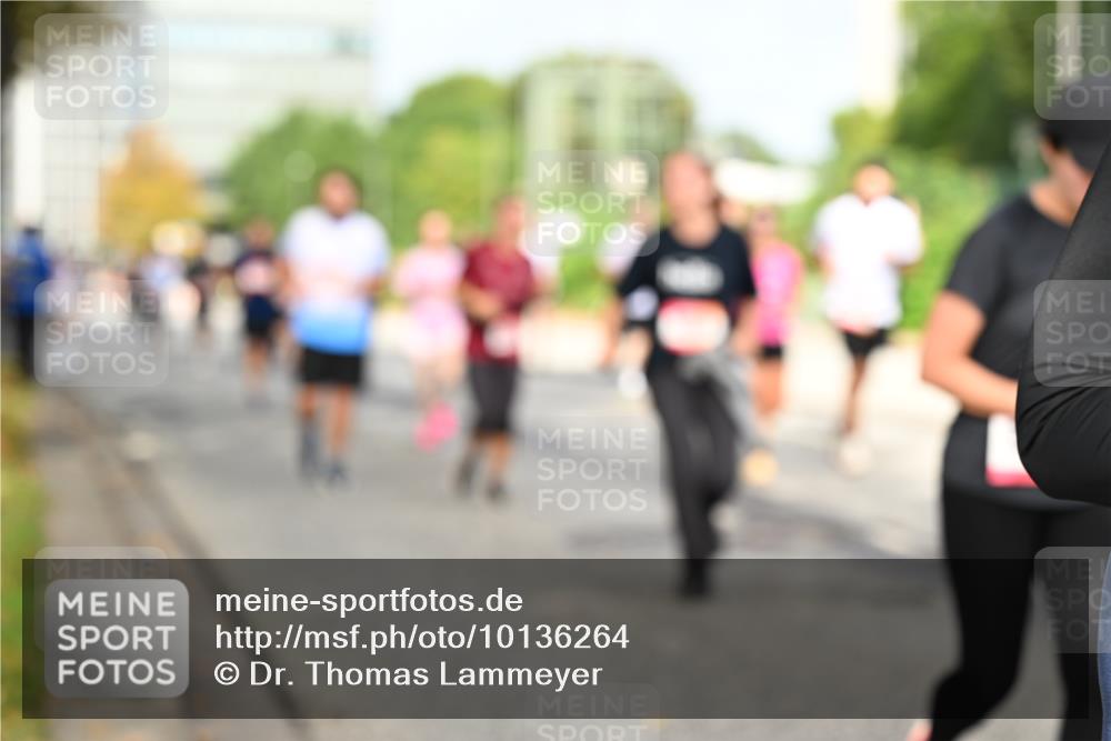 06.09.2026 - CURREX Alsterlauf Dr. Thomas Lammeyer http://msf.ph/oto/10136264 06.09.2026 10:01:15 Laufen  meine-sportfotos.de