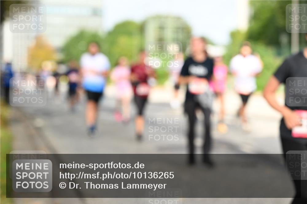 06.09.2026 - CURREX Alsterlauf Dr. Thomas Lammeyer http://msf.ph/oto/10136265 06.09.2026 10:01:15 Laufen  meine-sportfotos.de