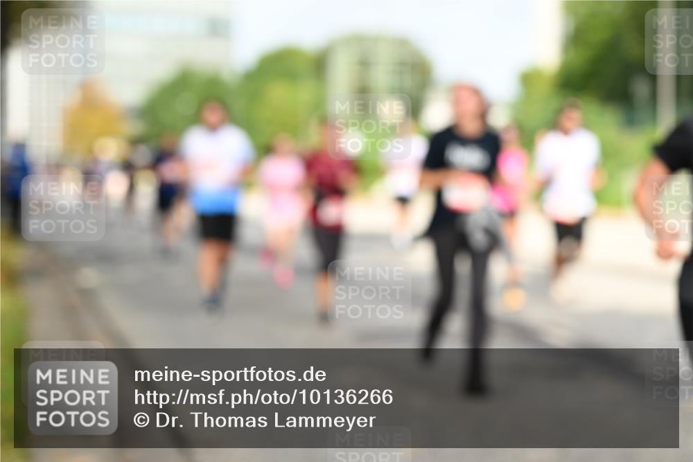 06.09.2026 - CURREX Alsterlauf Dr. Thomas Lammeyer http://msf.ph/oto/10136266 06.09.2026 10:01:15 Laufen  meine-sportfotos.de