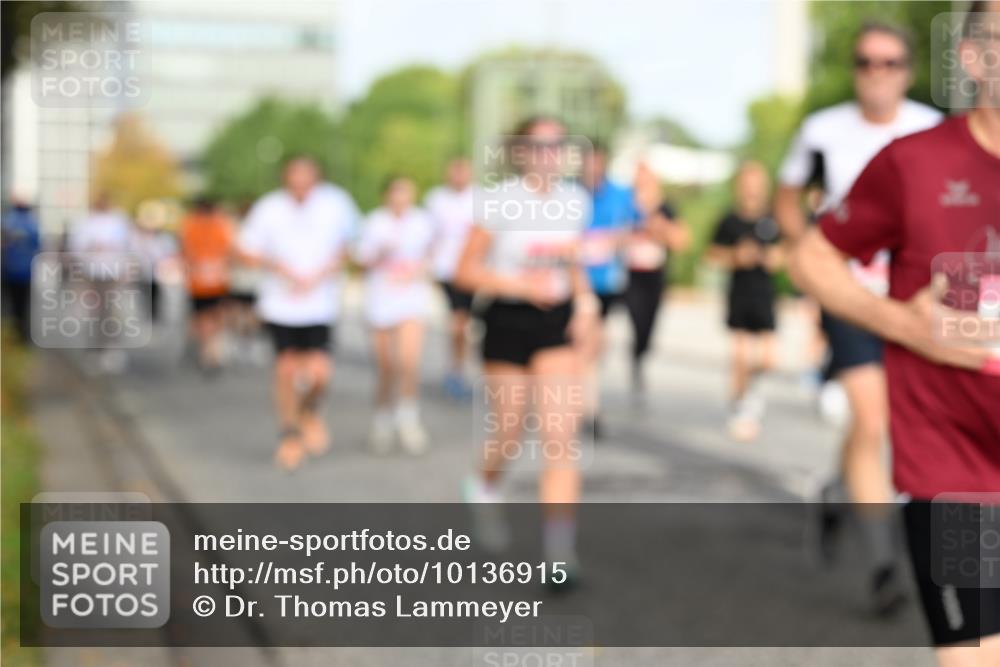 06.09.2026 - CURREX Alsterlauf Dr. Thomas Lammeyer http://msf.ph/oto/10136915 06.09.2026 10:02:13 Laufen  meine-sportfotos.de