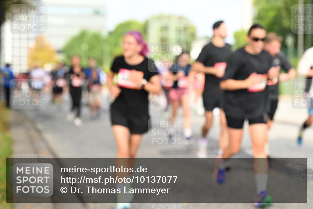 06.09.2026 - CURREX Alsterlauf Dr. Thomas Lammeyer http://msf.ph/oto/10137077 06.09.2026 10:02:28 Laufen  meine-sportfotos.de