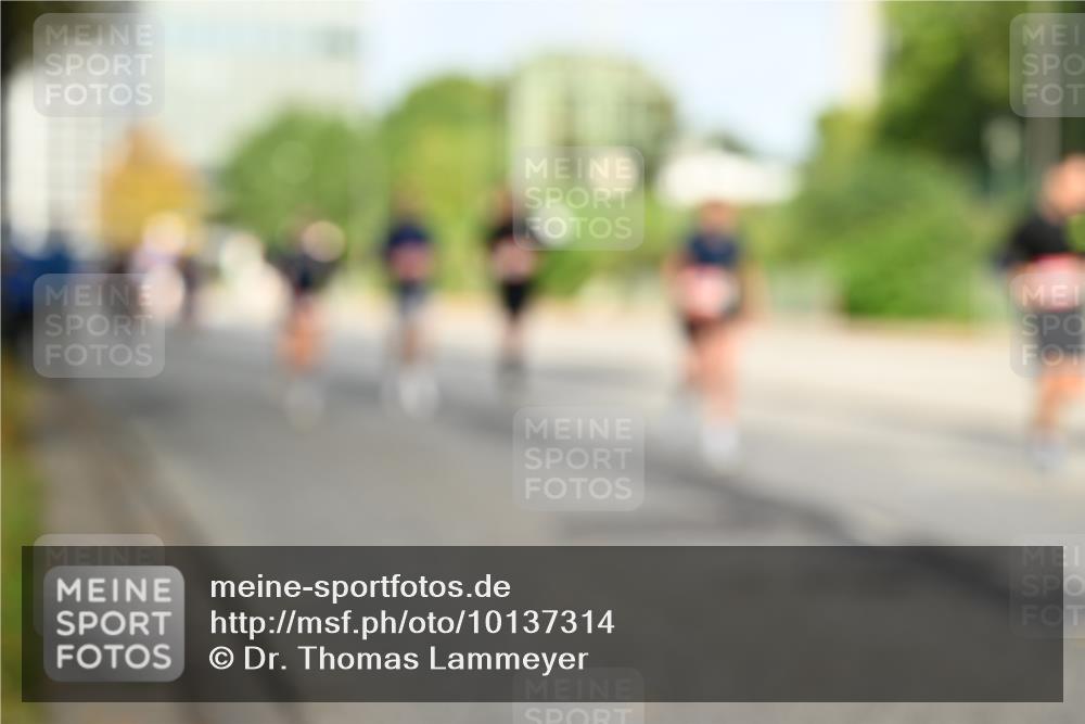 06.09.2026 - CURREX Alsterlauf Dr. Thomas Lammeyer http://msf.ph/oto/10137314 06.09.2026 10:02:51 Laufen  meine-sportfotos.de