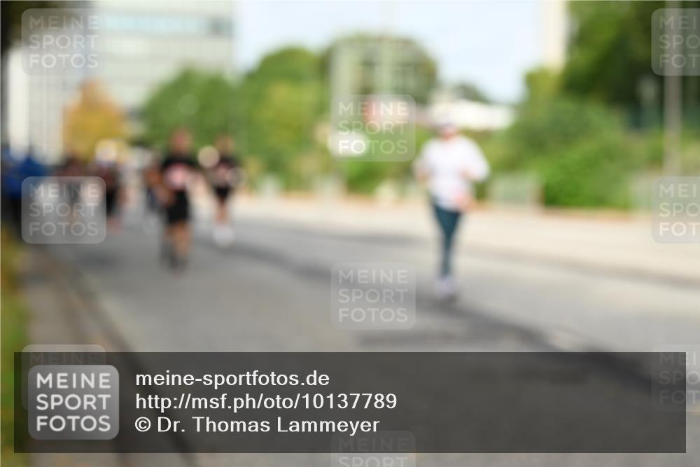 06.09.2026 - CURREX Alsterlauf Dr. Thomas Lammeyer http://msf.ph/oto/10137789 06.09.2026 10:03:42 Laufen  meine-sportfotos.de