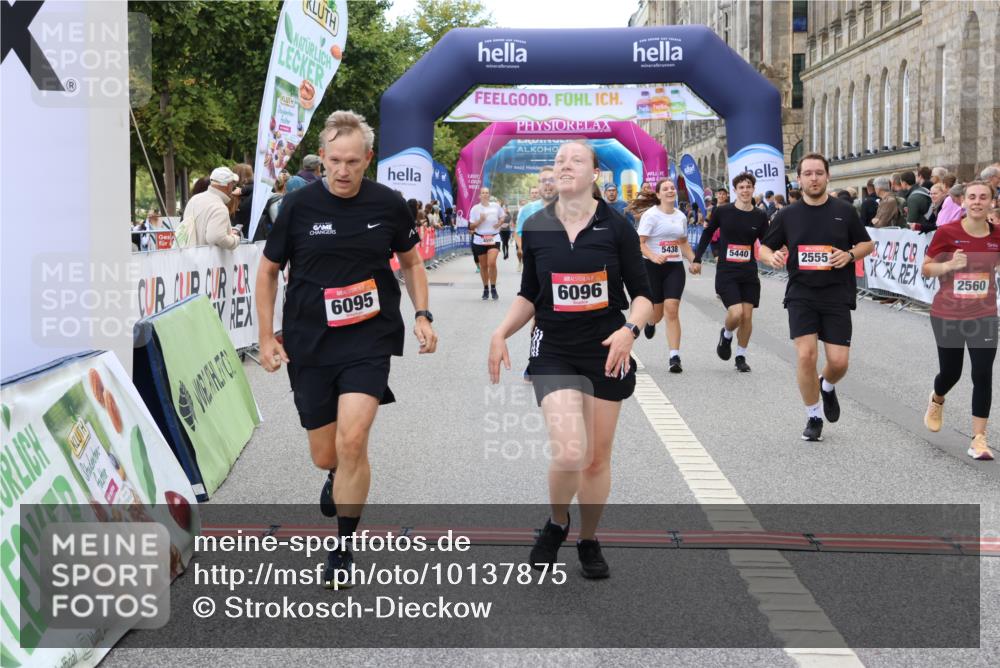 06.09.2026 - CURREX Alsterlauf Strokosch-Dieckow http://msf.ph/oto/10137875 06.09.2026 10:13:55 Ziel 2555, 2560, 2818, 3017, 3510, 3558, 3796, 5438, 5440, 5843, 6095, 6096 meine-sportfotos.de