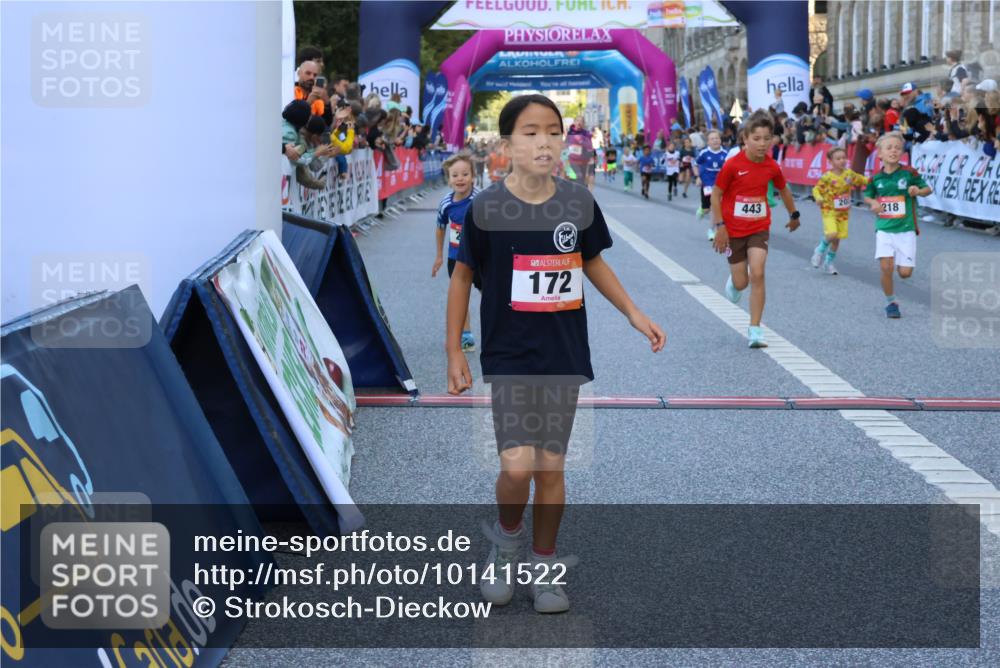 06.09.2026 - CURREX Alsterlauf Strokosch-Dieckow http://msf.ph/oto/10141522 06.09.2026 10:53:58 Ziel 157, 172, 177, 185, 195, 203, 208, 216, 218, 221, 243, 292, 302, 320, 334, 362, 404, 414, 418, 443, 8101, 8196, 8221, 8252 meine-sportfotos.de