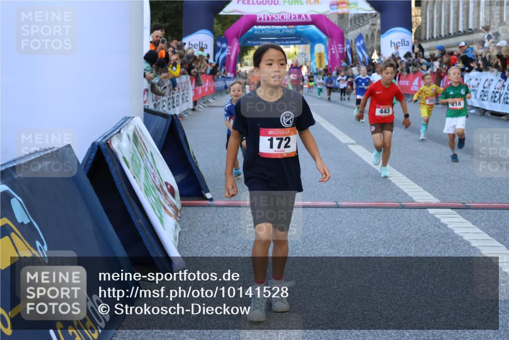 06.09.2026 - CURREX Alsterlauf Strokosch-Dieckow http://msf.ph/oto/10141528 06.09.2026 10:53:58 Ziel 157, 172, 177, 185, 195, 203, 208, 216, 218, 221, 243, 292, 302, 320, 334, 362, 404, 414, 418, 443, 8101, 8196, 8221, 8252 meine-sportfotos.de