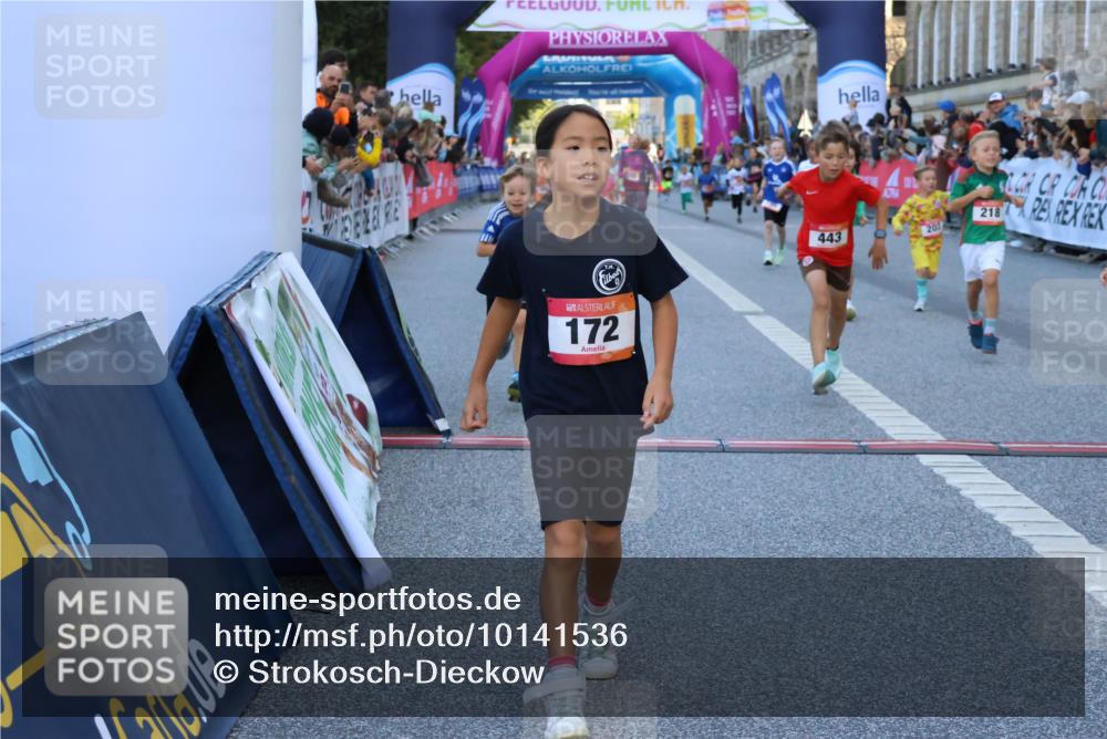 06.09.2026 - CURREX Alsterlauf Strokosch-Dieckow http://msf.ph/oto/10141536 06.09.2026 10:53:58 Ziel 157, 172, 177, 185, 195, 203, 208, 216, 218, 221, 243, 292, 302, 320, 334, 362, 404, 414, 418, 443, 8101, 8196, 8221, 8252 meine-sportfotos.de