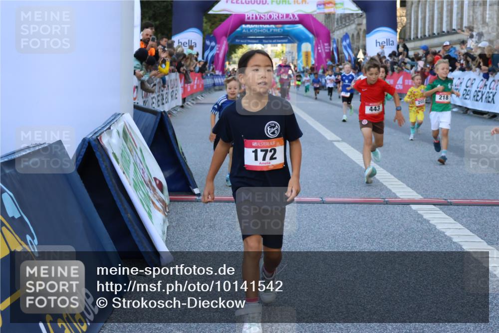 06.09.2026 - CURREX Alsterlauf Strokosch-Dieckow http://msf.ph/oto/10141542 06.09.2026 10:53:58 Ziel 157, 172, 177, 185, 195, 203, 208, 216, 218, 221, 243, 292, 302, 320, 334, 362, 404, 414, 418, 443, 8101, 8196, 8221, 8252 meine-sportfotos.de