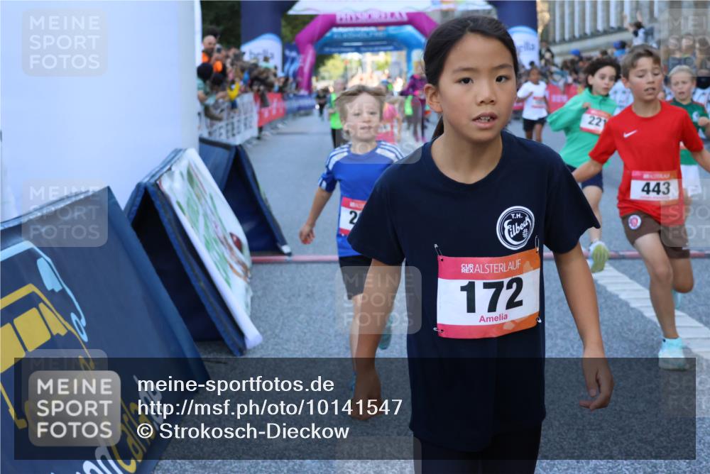 06.09.2026 - CURREX Alsterlauf Strokosch-Dieckow http://msf.ph/oto/10141547 06.09.2026 10:54:00 Ziel 157, 172, 185, 195, 203, 208, 216, 218, 221, 243, 292, 296, 302, 320, 334, 364, 379, 414, 418, 443, 8101 meine-sportfotos.de