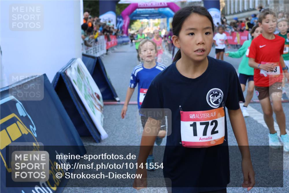 06.09.2026 - CURREX Alsterlauf Strokosch-Dieckow http://msf.ph/oto/10141554 06.09.2026 10:54:00 Ziel 157, 172, 185, 195, 203, 208, 216, 218, 221, 243, 292, 296, 302, 320, 334, 364, 379, 414, 418, 443, 8101 meine-sportfotos.de