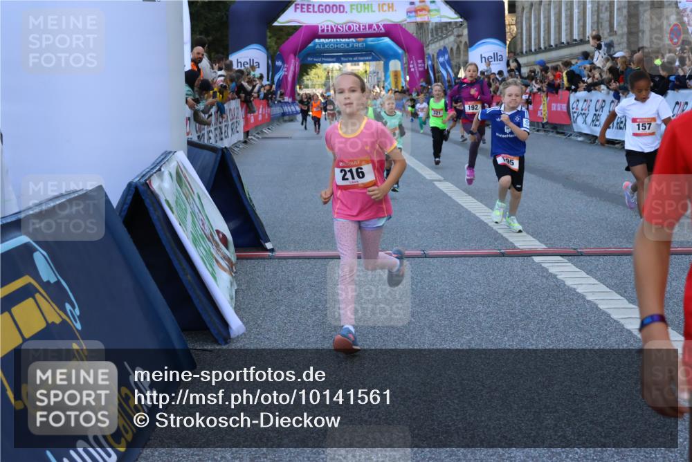 06.09.2026 - CURREX Alsterlauf Strokosch-Dieckow http://msf.ph/oto/10141561 06.09.2026 10:54:02 Ziel 157, 172, 195, 202, 203, 216, 218, 221, 243, 256, 260, 292, 296, 302, 321, 334, 364, 379, 414, 418, 443 meine-sportfotos.de