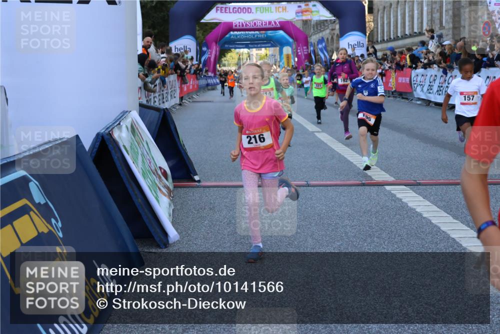 06.09.2026 - CURREX Alsterlauf Strokosch-Dieckow http://msf.ph/oto/10141566 06.09.2026 10:54:02 Ziel 157, 172, 195, 202, 203, 216, 218, 221, 243, 256, 260, 292, 296, 302, 321, 334, 364, 379, 414, 418, 443 meine-sportfotos.de