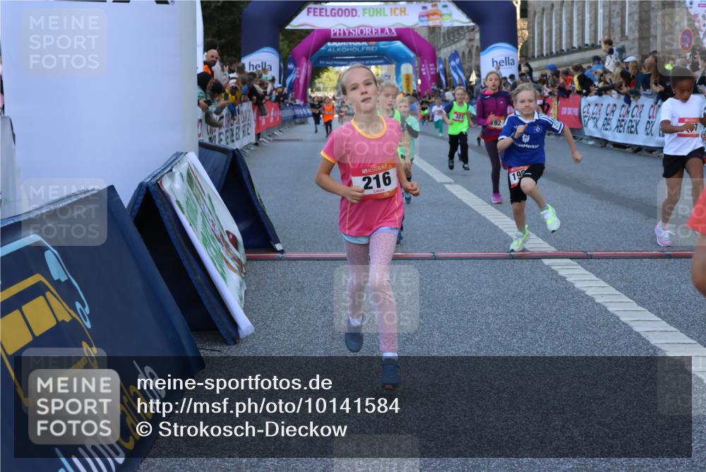 06.09.2026 - CURREX Alsterlauf Strokosch-Dieckow http://msf.ph/oto/10141584 06.09.2026 10:54:02 Ziel 157, 172, 195, 202, 203, 216, 218, 221, 243, 256, 260, 292, 296, 302, 321, 334, 364, 379, 414, 418, 443 meine-sportfotos.de