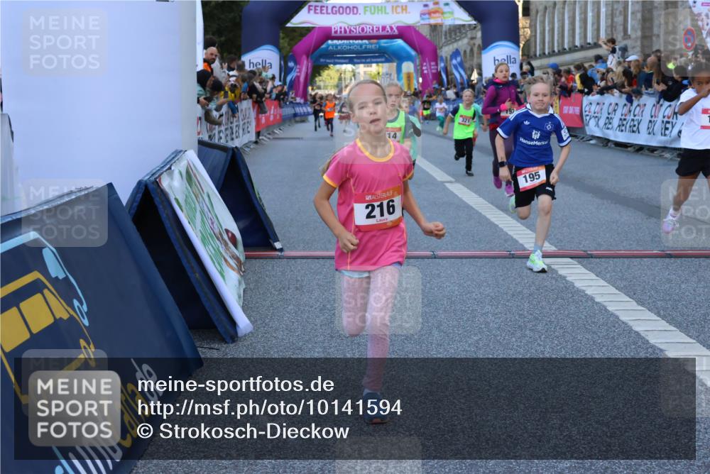 06.09.2026 - CURREX Alsterlauf Strokosch-Dieckow http://msf.ph/oto/10141594 06.09.2026 10:54:03 Ziel 157, 172, 195, 201, 202, 203, 216, 218, 221, 243, 256, 260, 292, 296, 302, 321, 364, 379, 414, 418, 443 meine-sportfotos.de