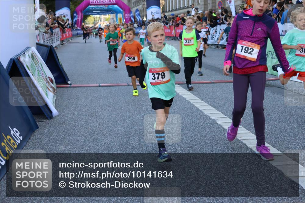 06.09.2026 - CURREX Alsterlauf Strokosch-Dieckow http://msf.ph/oto/10141634 06.09.2026 10:54:06 Ziel 157, 195, 201, 202, 203, 216, 218, 221, 256, 260, 292, 296, 312, 321, 347, 364, 379, 414, 416, 443, 446, 455, 8253 meine-sportfotos.de