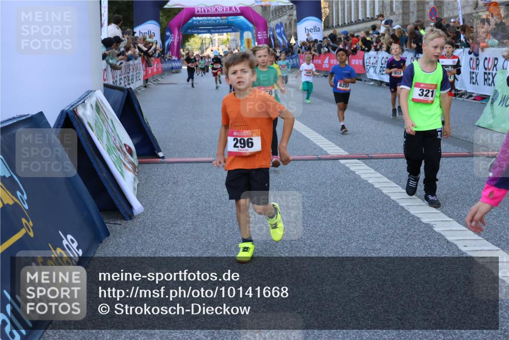 06.09.2026 - CURREX Alsterlauf Strokosch-Dieckow http://msf.ph/oto/10141668 06.09.2026 10:54:07 Ziel 157, 195, 201, 202, 203, 216, 218, 221, 256, 258, 260, 276, 296, 312, 321, 347, 364, 379, 414, 416, 446, 455, 8253 meine-sportfotos.de