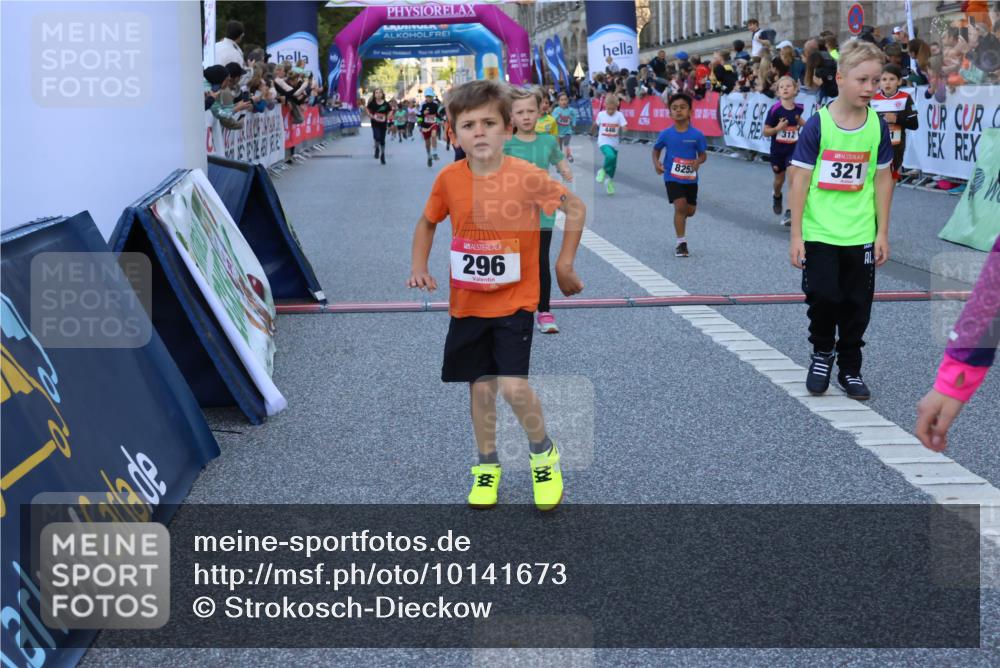 06.09.2026 - CURREX Alsterlauf Strokosch-Dieckow http://msf.ph/oto/10141673 06.09.2026 10:54:07 Ziel 157, 195, 201, 202, 203, 216, 218, 221, 256, 258, 260, 276, 296, 312, 321, 347, 364, 379, 414, 416, 446, 455, 8253 meine-sportfotos.de