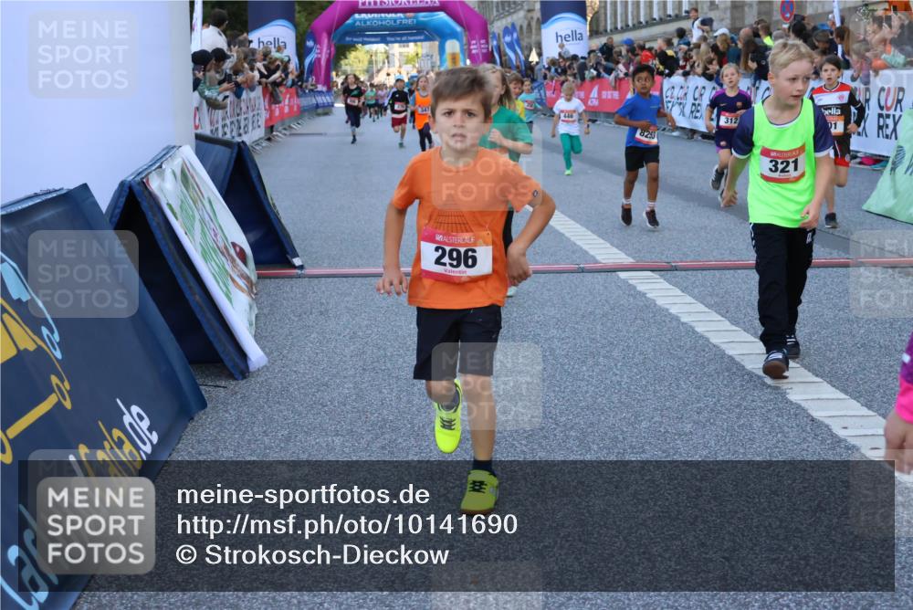 06.09.2026 - CURREX Alsterlauf Strokosch-Dieckow http://msf.ph/oto/10141690 06.09.2026 10:54:07 Ziel 157, 195, 201, 202, 203, 216, 218, 221, 256, 258, 260, 276, 296, 312, 321, 347, 364, 379, 414, 416, 446, 455, 8253 meine-sportfotos.de