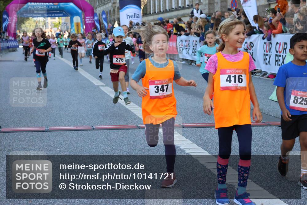 06.09.2026 - CURREX Alsterlauf Strokosch-Dieckow http://msf.ph/oto/10141721 06.09.2026 10:54:12 Ziel 201, 202, 206, 256, 258, 260, 270, 276, 283, 296, 300, 312, 321, 347, 364, 416, 417, 436, 440, 446, 449, 455, 8113, 8174, 8253 meine-sportfotos.de