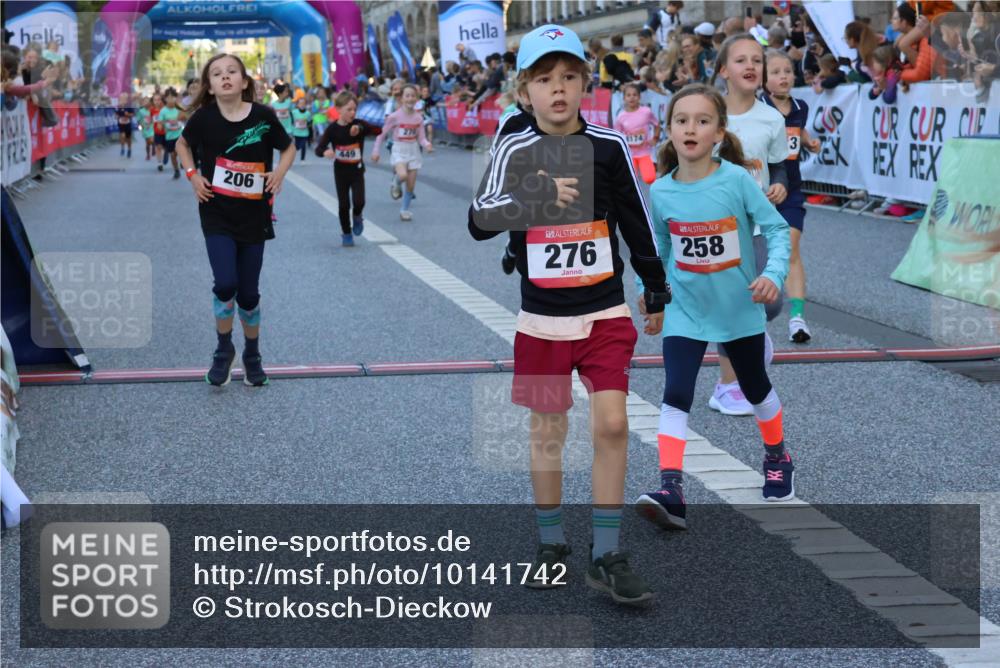 06.09.2026 - CURREX Alsterlauf Strokosch-Dieckow http://msf.ph/oto/10141742 06.09.2026 10:54:14 Ziel 201, 206, 238, 258, 260, 264, 270, 276, 283, 300, 312, 347, 399, 416, 417, 436, 440, 446, 449, 455, 8113, 8174, 8253 meine-sportfotos.de