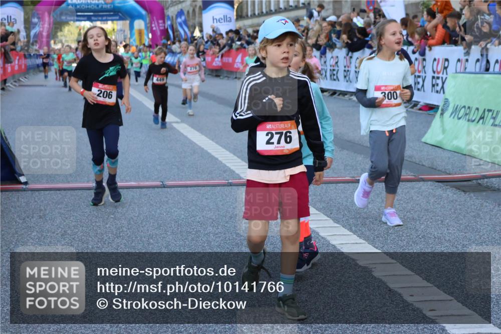 06.09.2026 - CURREX Alsterlauf Strokosch-Dieckow http://msf.ph/oto/10141766 06.09.2026 10:54:14 Ziel 201, 206, 238, 258, 260, 264, 270, 276, 283, 300, 312, 347, 399, 416, 417, 436, 440, 446, 449, 455, 8113, 8174, 8253 meine-sportfotos.de