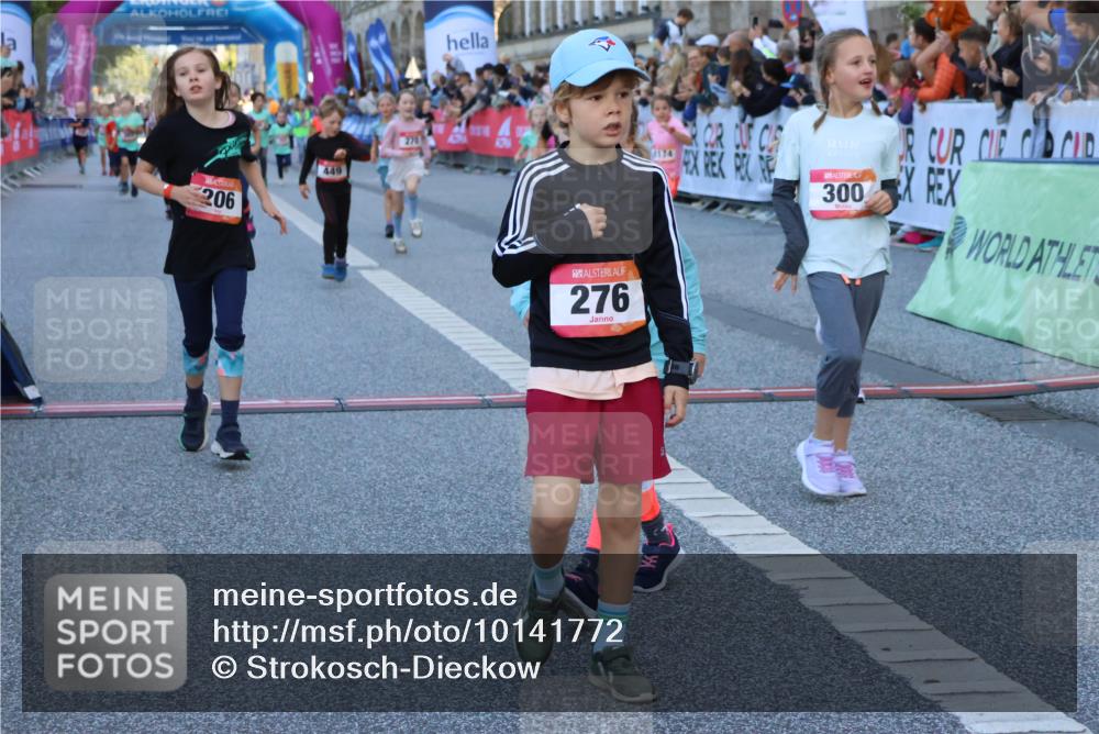 06.09.2026 - CURREX Alsterlauf Strokosch-Dieckow http://msf.ph/oto/10141772 06.09.2026 10:54:15 Ziel 201, 206, 238, 258, 264, 270, 276, 283, 300, 312, 347, 399, 416, 417, 436, 440, 446, 449, 455, 8113, 8174, 8253 meine-sportfotos.de