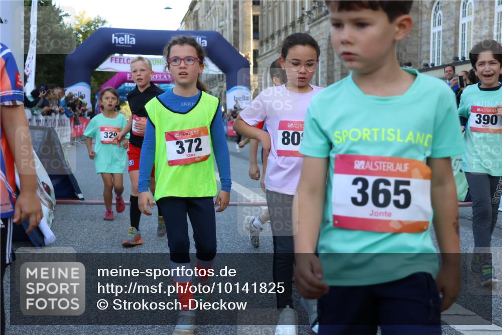 06.09.2026 - CURREX Alsterlauf Strokosch-Dieckow http://msf.ph/oto/10141825 06.09.2026 10:54:27 Ziel 162, 179, 207, 239, 240, 278, 284, 285, 304, 318, 326, 329, 333, 357, 361, 365, 372, 387, 390, 431, 444, 456, 8087, 8343 meine-sportfotos.de