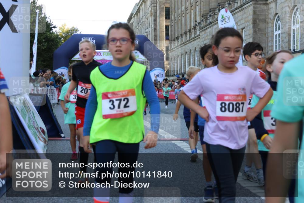 06.09.2026 - CURREX Alsterlauf Strokosch-Dieckow http://msf.ph/oto/10141840 06.09.2026 10:54:27 Ziel 162, 179, 207, 239, 240, 278, 284, 285, 304, 318, 326, 329, 333, 357, 361, 365, 372, 387, 390, 431, 444, 456, 8087, 8343 meine-sportfotos.de